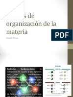 1.niveles de Organización de La Materia PDF