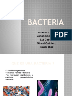 Bacterias: Morfología, Tipos y Prevención