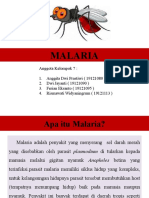 Kelompok 7 Malaria
