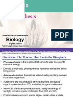 AP BIO Chapter 10 Photosynthesis-1