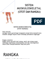 7 Muskuloskeletal (Otot Dan Rangka) PDF