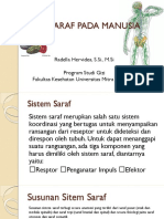 6 Sistem Saraf Manusia PDF