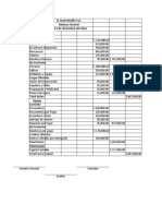 Balance General Sustentable S.A. 20xx