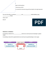 The Light Dependent Reaction Student Ver