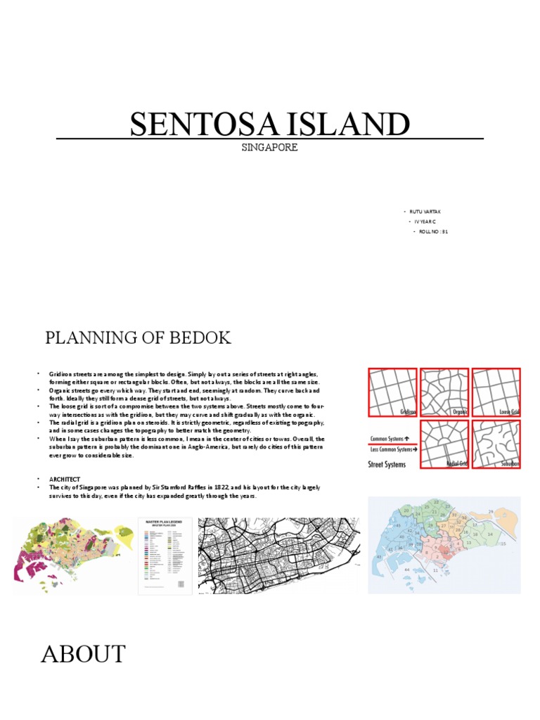 Urban Planning Styles in Singapore | PDF | Art