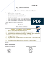 Djeca U Saobraćaju PDF