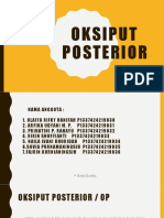 Oksiput Posterior