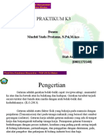 Diah Anggraini Putri (0801172148) Praktikum K3