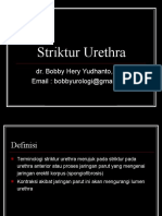 striktur-urethra.ppt