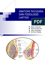 Anatomi Payudara Dan Fisiologis Laktasi Kel. 3
