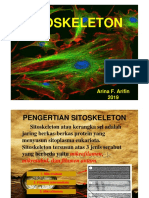 Sitoskeleton (AF)