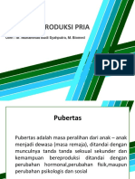 Fungsi Reproduksi Pria