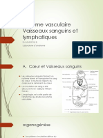 4-Systeme Vasculaire