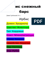 Ирбис снежный барс