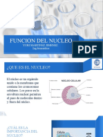 El Nucleo