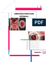 Gangguan Sistem Pencernaan dan Upaya Pencegahannya