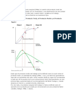 Etapas de Produccion