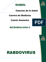 5-Rabia Picornavirus