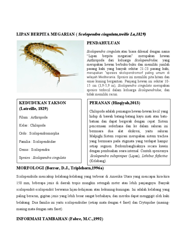 Lipan Berpita Megarian Pdf