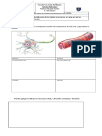 Ciencias 8vo 1 de Julio