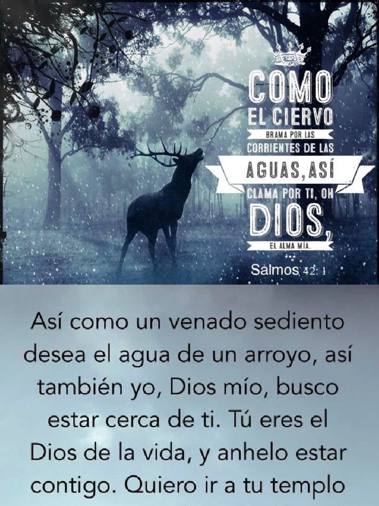 El Rio de Dios | PDF | Mar Muerto | Biblia