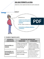 Conjunto de Cambios Químicos y Biológicos Que Se Producen en El Organismo