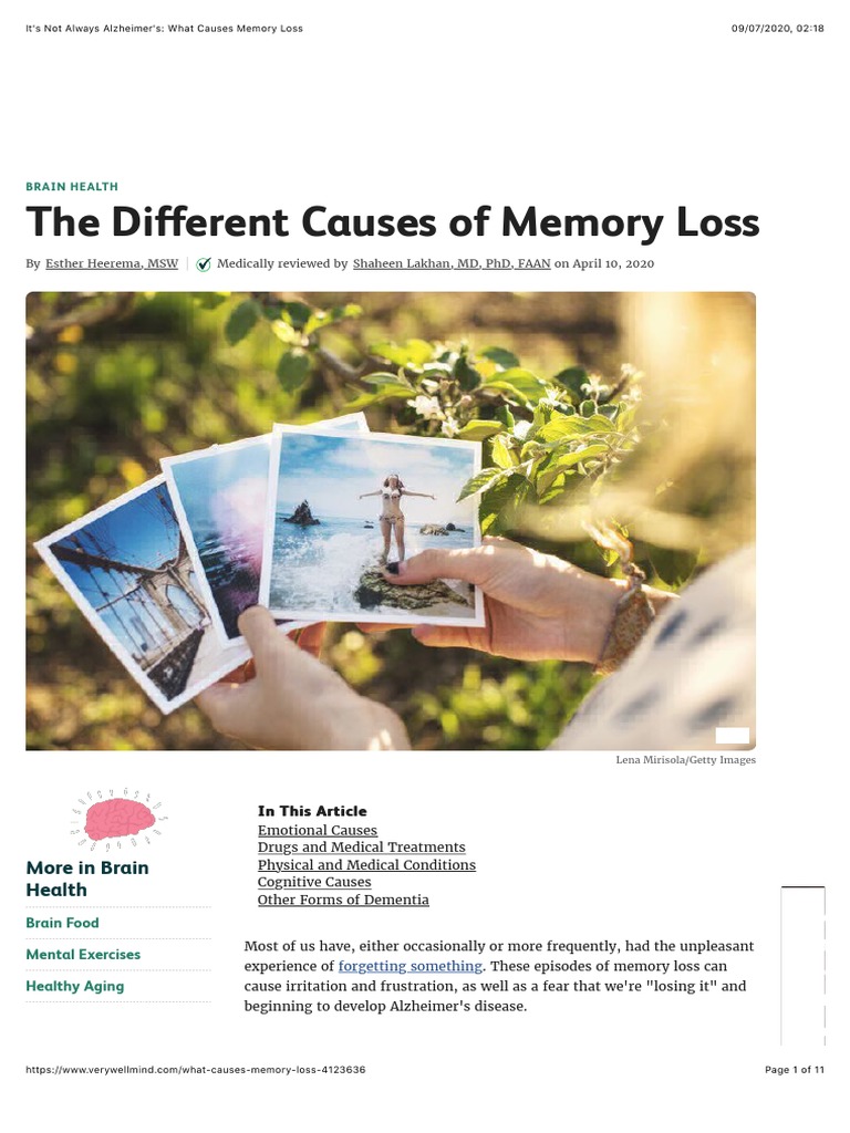 Memory Loss PDF PDF Dementia Alzheimer's Disease