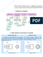 Clasificarea Sectiunilor