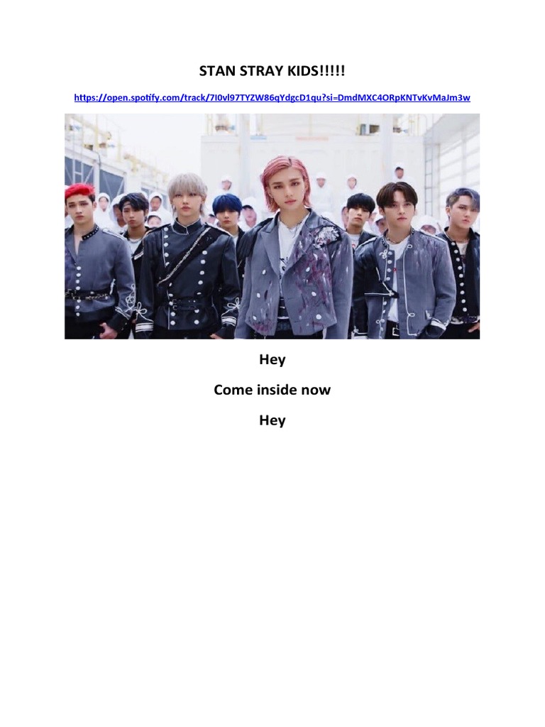 Stan Stray Kids | PDF