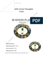 Business Plan 2020 Manual, Kevin, Pinelo Redone