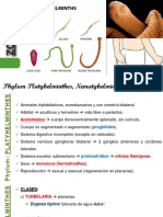 03 Phylum Platelmintos, Nematelmintos, Anélidos PDF