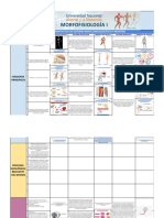 Morfofisiologia 1 - Cuadro Comparativo PDF