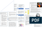 Mapa Grafico Neurodidactica