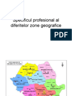 Specificul-profesional-al-diferitelor-zone-geografice.ppt