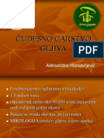 UVOD U CARSTVO GLJIVA Aleksandra Ana Milosavljevic PDF