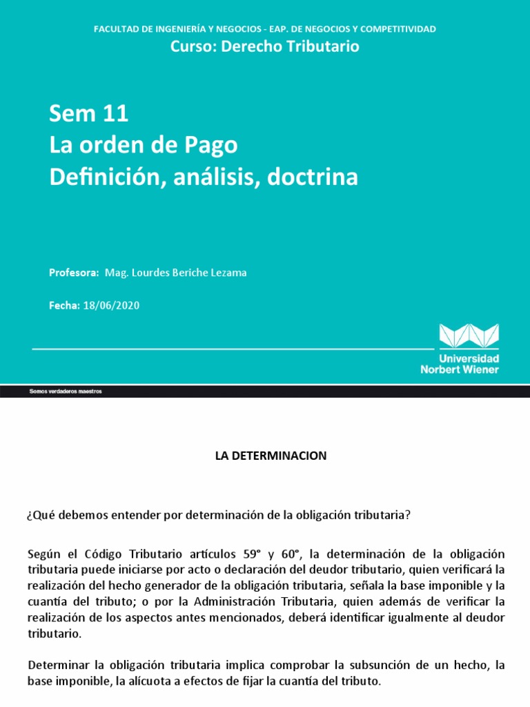 Tipos y Naturaleza de la Orden de Pago | PDF | Pagos | Gobierno