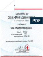 CVPA01-2020 - Certificado Curso Virtual de Primeros Auxilios PDF