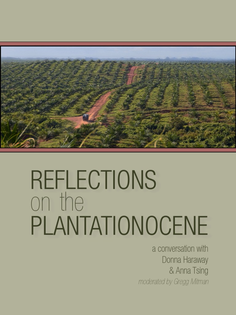 Reflections Plantationocene On The A Conversation With Donna Haraway