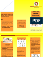 Leaflet DHF 2