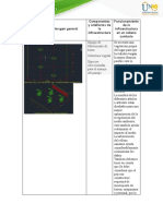 Fase 4 Diseño de Relleno