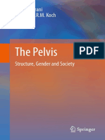 2014-The Pelvis PDF