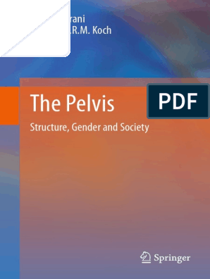 Pelvis PDF | PDF | Electromyography | Pelvis