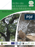 Taieri Ilicite Ale Vegetatiei Forestiere in R.Moldova PDF