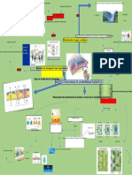 Mapa Mental Membrana Plasmatica