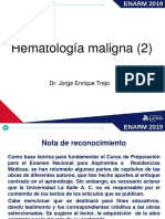 2.- Gu+¡a gr+ífica Hematologia maligna 2.pdf