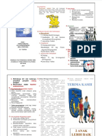 Leaflet Sap Implant PDF