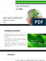 Clase 2.4 LA HOJA PDF