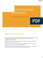 Sistem Pencernaan Ruminan PDF
