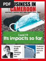 Cameroon: Its Impacts So Far