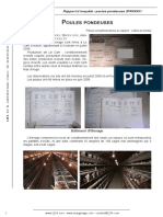 poules-pondeuses-rapport.pdf